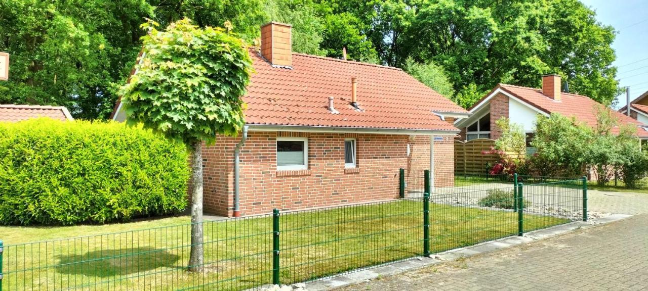 Ferienhaus Vergissmeinnicht بابينبورغ المظهر الخارجي الصورة